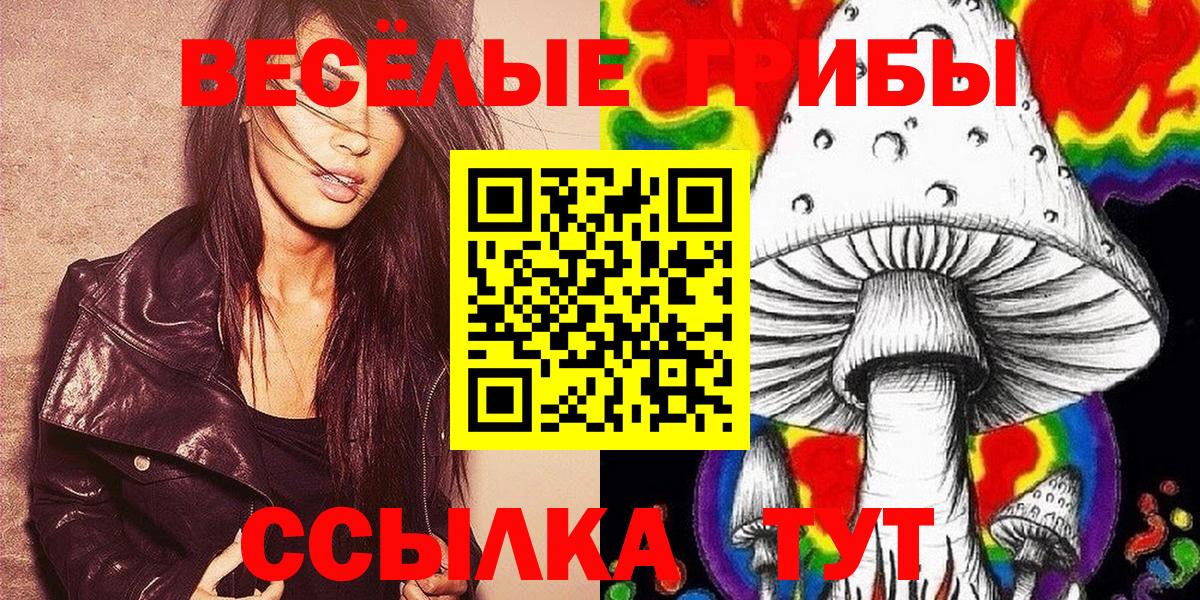 Галлюциногенные грибы прущие грибы  Галлюциногенные грибы прущие грибы  Вход с VPN  Красный Сулин 
